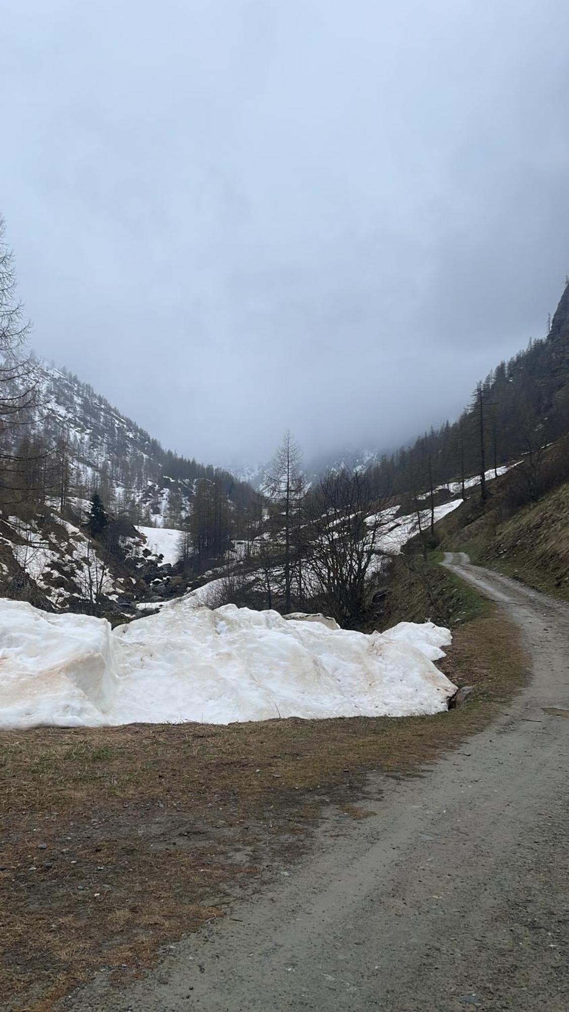 Laghi Di Como Appartamento Di Licinia E Mario Asso Exterior foto